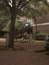 Society Hill 30