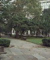 Washington Square 01