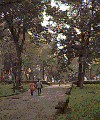 Ben Franklin Parkway 01 Ben Franklin Parkway 01