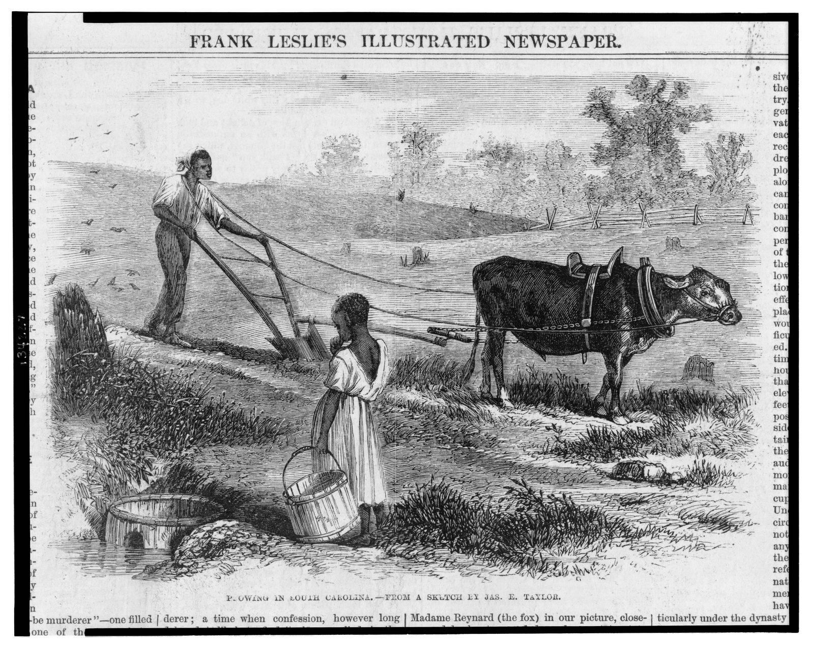 Agriculture formed the backbone of the Southern economy